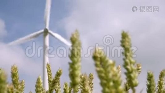 挥舞的小麦后面的风力涡轮机视频