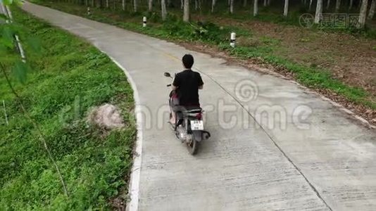 鸟瞰青年男子驾驶摩托车在水泥路旁的橡胶树种植园视频