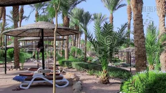 埃及旅游胜地红海海滩视频