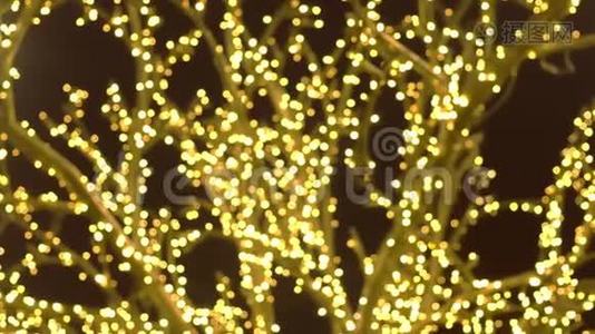树枝被节日的灯光包裹着。 圣诞街灯。 特写镜头，模糊..视频