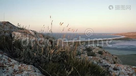 在大海的背景下，高高的山带着摇曳的干草，海浪在沙质的海岸上奔腾视频