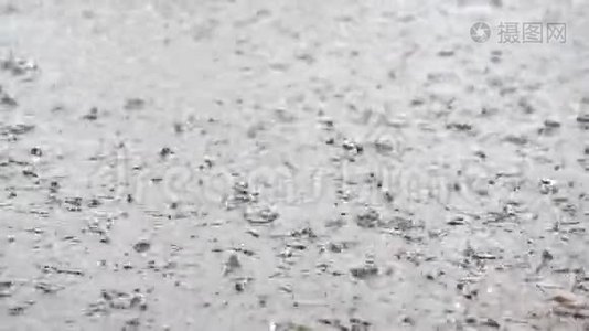 雨水缓慢滴入沥青上的大水坑视频