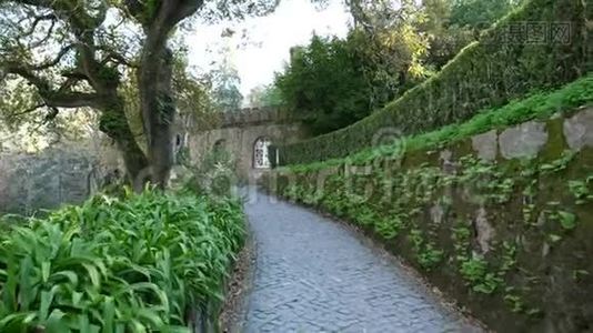 葡萄牙辛特拉——2017年12月26日：在葡萄牙美丽的Quinta Da Regaleira花园散步。视频