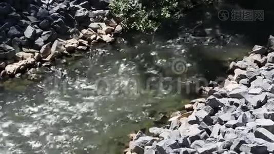 河水在阳光的照射下快速流动. 大自然视频