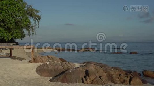 热带杏仁或塔尼亚卡帕林。 在海滩上，海浪拍打着岩石和沙子。视频