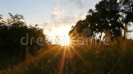 阳光透过相机镜头照射.. 明亮的阳光。 照相机在动. 美丽的光芒视频