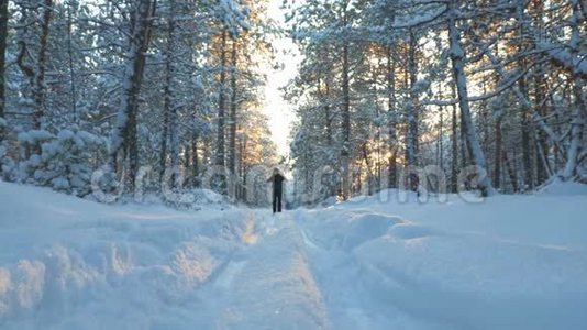 一个年轻人正在冬天的森林里滑雪。视频