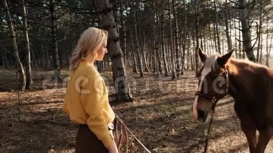 穿着黄色毛衣的年轻女子抱着一匹棒极了的棕色和白色的马，慢腾腾地走着视频