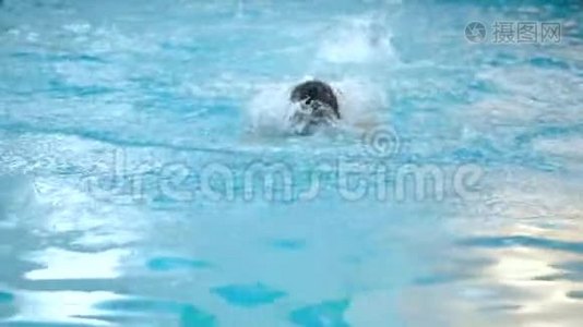 男子游泳运动员在游泳池训练时做蝶泳动作，慢动作。视频