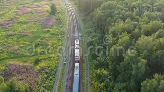 火车驶进远处的俄罗斯森林里。 日落时的空中景色。 无人驾驶飞机的4k段录像视频