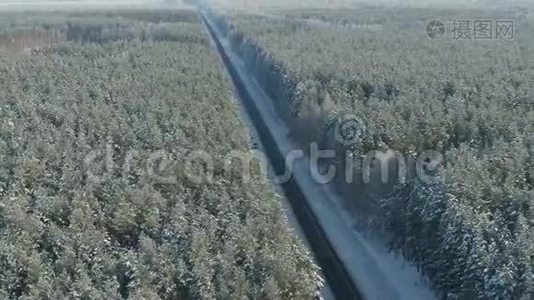 空中摄影飞越白雪覆盖的冬林.. 冬天的景观，树枝上有大量的雪视频