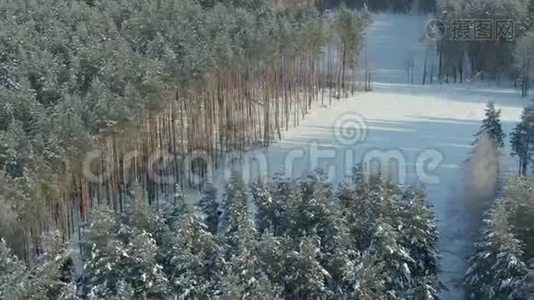 空中摄影飞越白雪覆盖的冬林.. 冬天的景观，树枝上有大量的雪视频