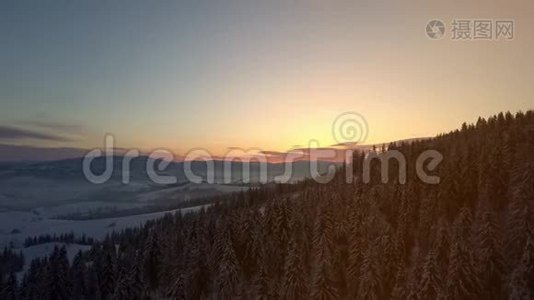 日出时冬季喀尔巴阡山脉的鸟瞰图。 在覆盖着云杉和松林的山上飞行视频