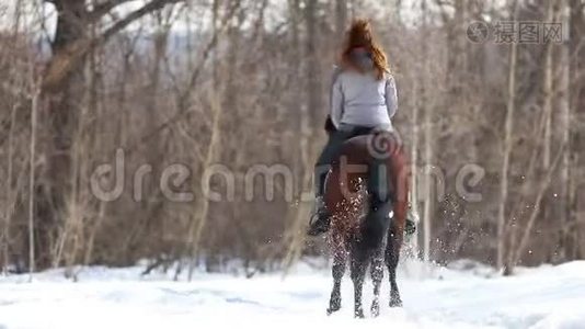 一个女人骑着马在雪地上奔跑视频