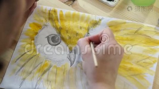 画家画了一只鸟的嘴视频