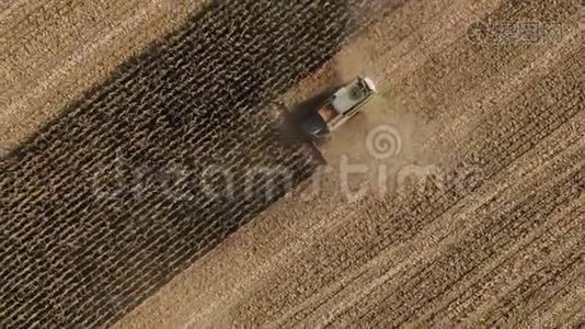 俯视图：结合从农业领域采集玉米.. 收获作物生产。 电动组合。视频