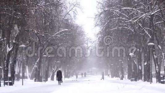 降雪城，人走雪道.. 暴风雪，暴风雪视频