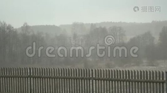 村外大雪暴雨.. 林中的景观带着暴风雪，恶劣的天气条件。 穷人视频