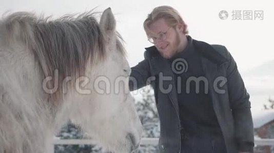 冬天的时候，一个戴眼镜的留着胡子的人在乡村牧场上抚摸一匹漂亮的白马。 慢动作。视频