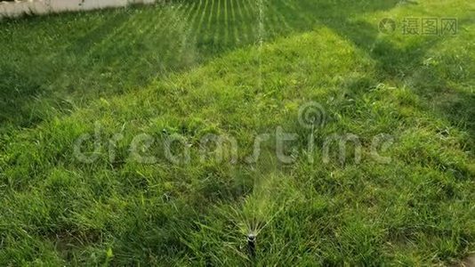 草坪上的洒水器在绿茵的花园里浇草视频