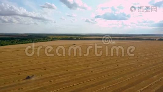 收割机收割小麦，拖拉机等待粮食，空中录像视频