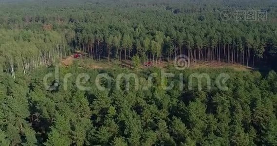 砍伐森林特种设备，从无人机上看。 森林收割机的工作.. 茂密松林的砍伐视频