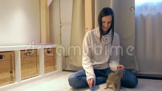 女人和猫鼬在孩子的房间里坐在地板上。视频