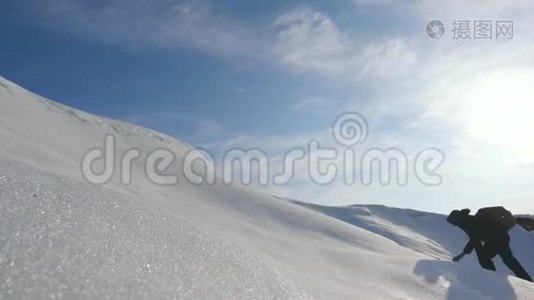 团队合作渴望获胜。 登山者爬到阿拉斯加一座雪山的山顶。 北极的旅行者在一座小山上视频