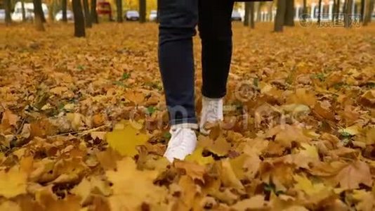 穿着运动鞋的女人脚在地上行走，地上长满了秋天的落叶视频