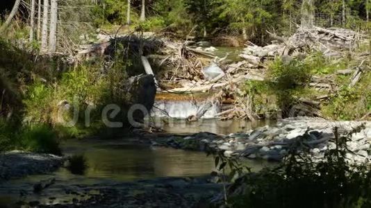 从斯洛伐克塔特拉山的海狸山上流着河流视频