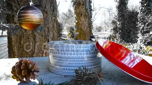 鸟儿们在冬天从礼品盒中啄食种子来过圣诞。视频
