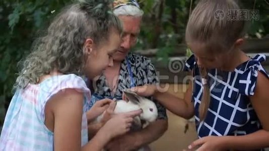 祖母和两个孙女手里拿着一只灰色的兔子。 女孩子有兴趣看看视频