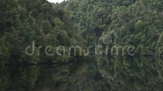 塔斯马尼亚的戈登河游船上的卢什雨林视频