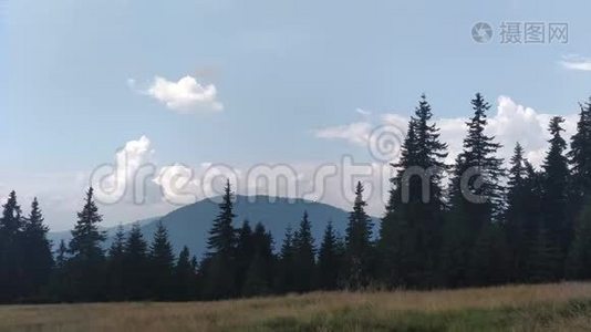 风在喀尔巴阡山阳光明媚的日子里把草、云杉、山和天空环境移动起来视频