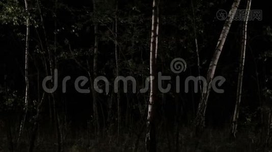 可怕的女人在夜里穿过森林视频