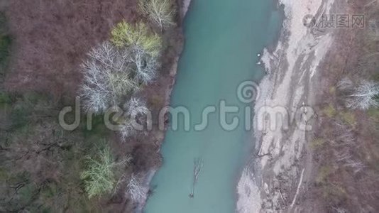 绿松石河中倒下的树.. 顶部视图视频