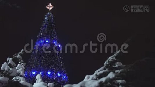 美丽的装饰圣诞树在夜空的背景上。 新年和圣诞节概念，复印空间，明亮视频