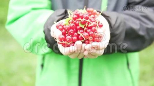 孩子们`手把许多红色的醋栗伸到照相机里视频