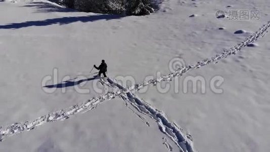 一个孤独的游客走过山林中的雪。 冬天白雪皑皑的森林里的旅行者带着一只鸟`眼睛视频