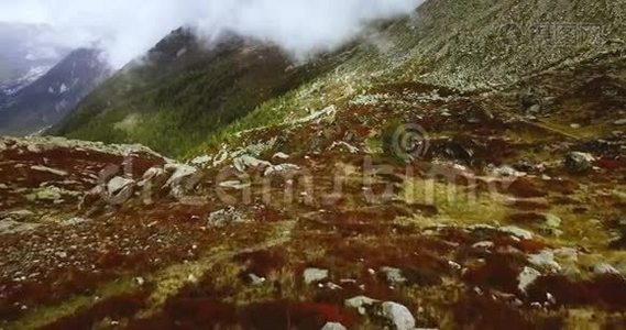 高山山雾路.. 朦胧的风景。 雪蒙蒙蒙的夏莫尼克斯。 法国北部河谷视频