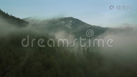 神秘而多雾的无人机在山上的雨林上空飞行。 中锋视频