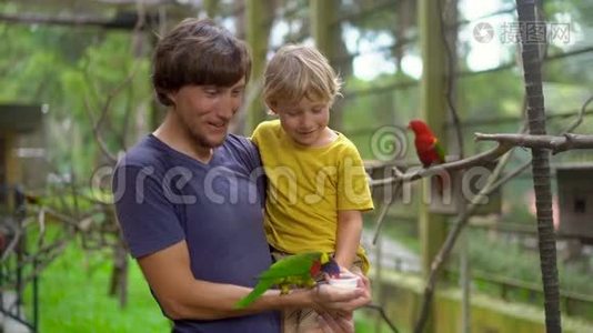 在一个鸟公园里，一对父子用牛奶喂一只绿鹦鹉坐`父亲的手上视频