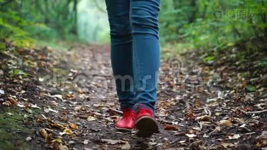 女足穿着红色运动鞋走过秋天的森林，在大自然的一片土地上覆盖着干燥的落叶。视频