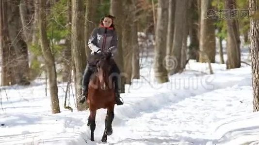 晚冬。 一个女人骑着马在森林里雪地上行走视频