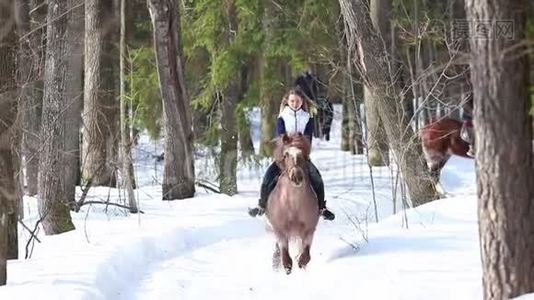 早春。 一个女人在森林里骑马视频