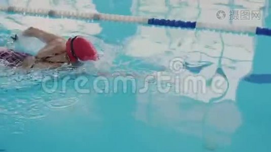 专业游泳运动员在游泳池里训练。 她游得像爬行，熟练地用手划水。 身体视频