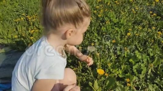 一个小女孩在草坪上采花。视频