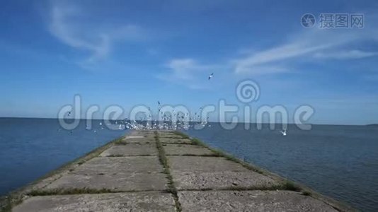 美丽碧海码头，前行.. 海鸥飞到两边。 4K慢慢视频