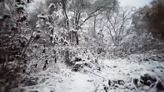 抚摸第一场雪视频