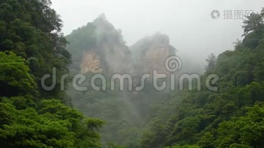 在雾中，山岩覆盖着绿色的长荣雨林视频